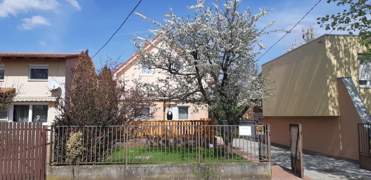 Rozsa Apartment Hajdúszoboszló Εξωτερικό φωτογραφία